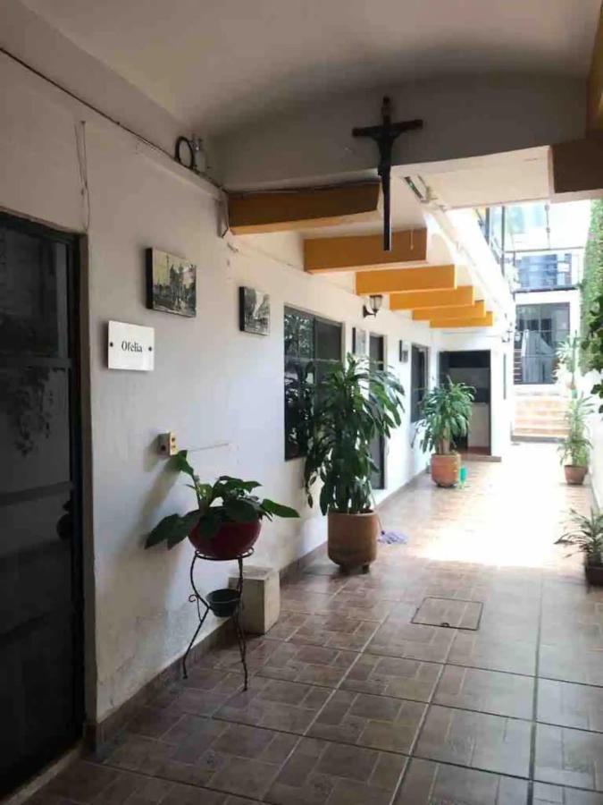 Cute Apart Excellently Located Lejlighed Oaxaca Eksteriør billede